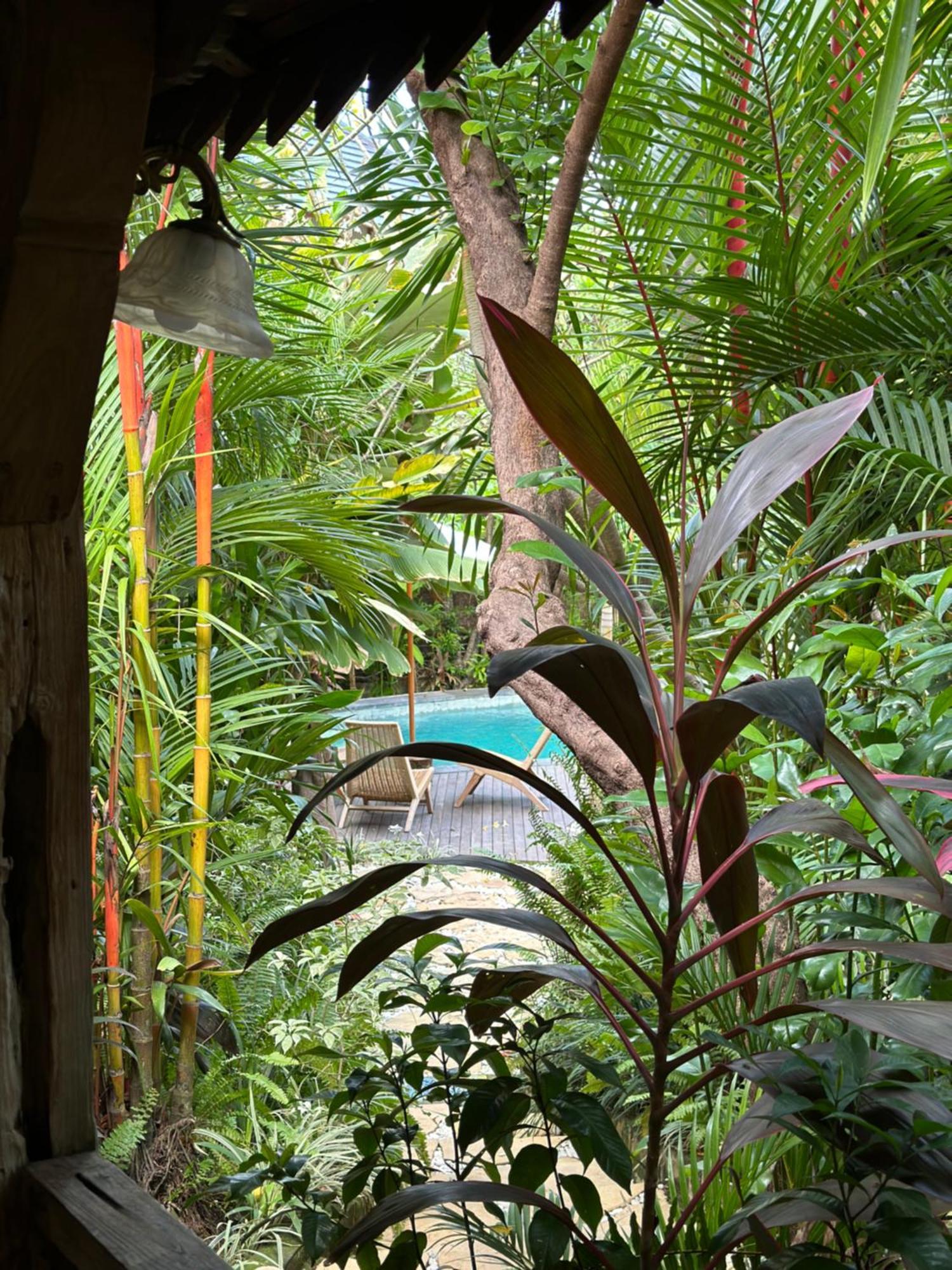 Lodge Umakayu Joglo - Boutique *